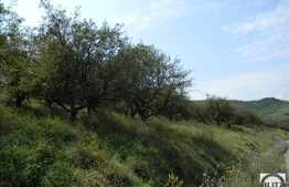 Vanzare teren 1434 mp, zona linistita