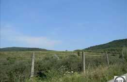 Vanzare teren 1434 mp, zona linistita