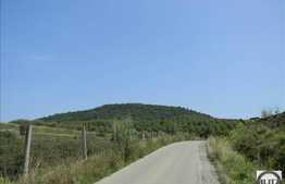 Vanzare teren 1434 mp, zona linistita