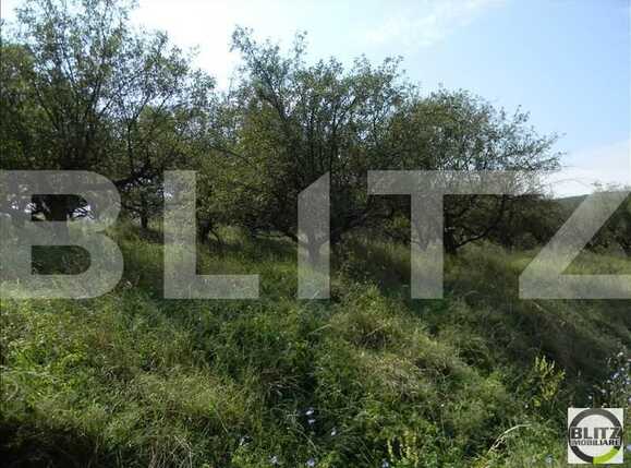 Teren de vânzare Baciu - 22650TV | BLITZ Cluj-Napoca | Poza2