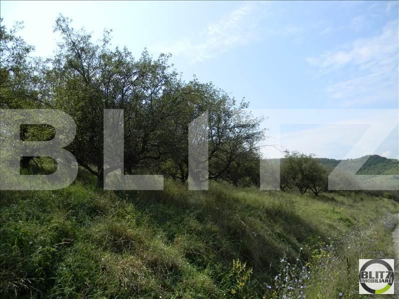 Teren de vânzare Baciu - 22650TV | BLITZ Cluj-Napoca | Poza3