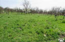 Vanzare teren intravilan, 600 mp, front 27 ml, zona LIR