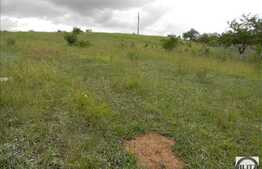 Vanzare teren 500 mp, zona linistita