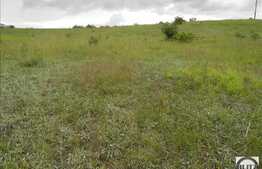 Vanzare teren 500 mp, zona linistita