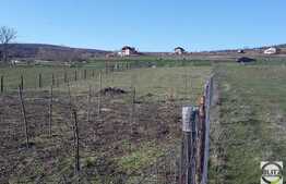 Teren 1600 mp, utilitati in zona, front 18 ml, in zona linistita de case