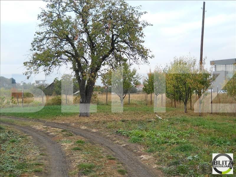 Teren de vânzare Europa - 22655TV | BLITZ Cluj-Napoca | Poza3