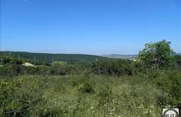 Teren de vanzare in zona Eugen Ionesco, 1110 mp cu front 50 ml