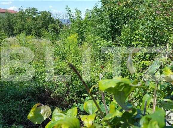 Teren de vânzare Andrei Mureşanu - 22660TV | BLITZ Cluj-Napoca | Poza3