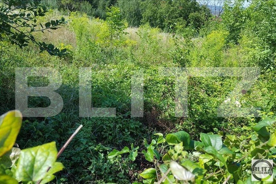 Teren de vânzare Andrei Mureşanu - 22660TV | BLITZ Cluj-Napoca | Poza2