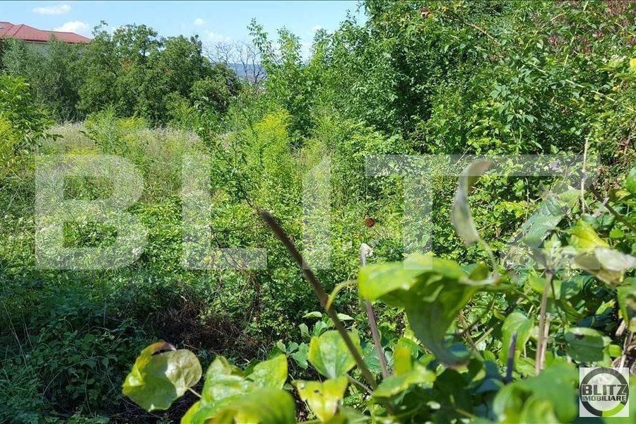 Teren de vânzare Andrei Mureşanu - 22660TV | BLITZ Cluj-Napoca | Poza3
