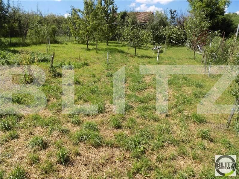 Teren de vânzare Dambul Rotund - 22661TV | BLITZ Cluj-Napoca | Poza5