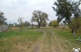 900 mp ideali pentru casa individuala!