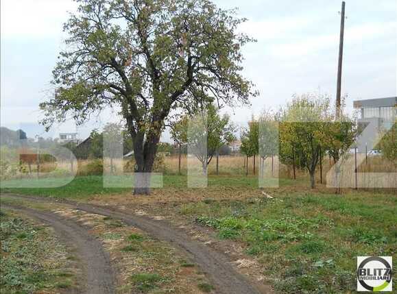 Teren de vânzare Europa - 22664TV | BLITZ Cluj-Napoca | Poza1