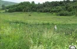 Vanzare teren 4387 mp, zona linistita, necesita PUZ