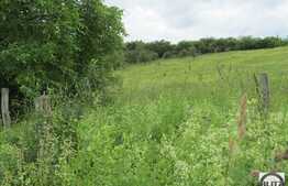 Vanzare teren 4387 mp, zona linistita, necesita PUZ