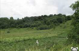 Vanzare teren 4387 mp, zona linistita, necesita PUZ