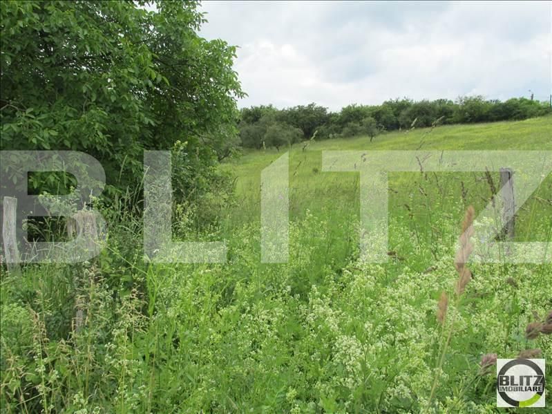 Teren de vânzare Borhanci - 22670TV | BLITZ Cluj-Napoca | Poza4