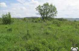 Teren 500 mp, front stradal 17,25 ml, PUZ in curs de obtinere, zona linistita