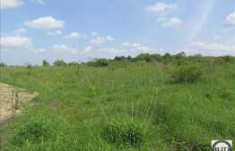 Teren 500 mp, front stradal 17,25 ml, PUZ in curs de obtinere, zona linistita