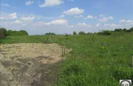 Teren 500 mp, front stradal 17,25 ml, PUZ in curs de obtinere, zona linistita