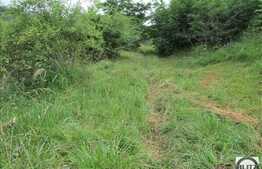 Teren de vanzare 2230 mp, front stradal 40 ml, zona linistita de case/vile