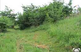 Teren de vanzare 2230 mp, front stradal 40 ml, zona linistita de case/vile