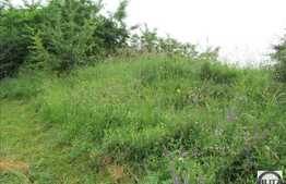 Teren de vanzare 2230 mp, front stradal 40 ml, zona linistita de case/vile