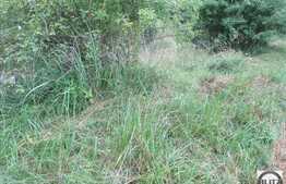 Teren de vanzare 2230 mp, front stradal 40 ml, zona linistita de case/vile