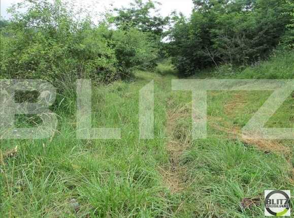 Teren de vânzare Bună Ziua - 22673TV | BLITZ Cluj-Napoca | Poza1