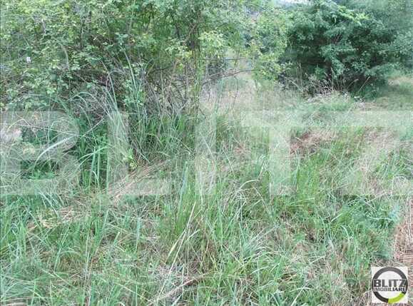 Teren de vânzare Bună Ziua - 22673TV | BLITZ Cluj-Napoca | Poza4