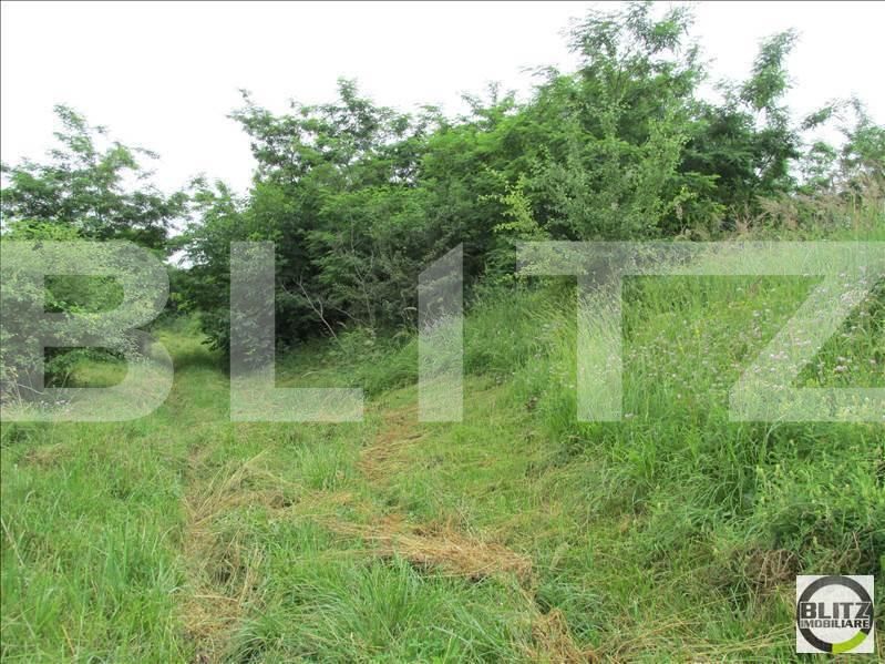 Teren de vânzare Bună Ziua - 22673TV | BLITZ Cluj-Napoca | Poza2