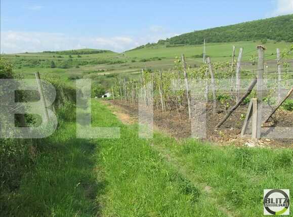 Teren de vânzare Baciu - 22680TV | BLITZ Cluj-Napoca | Poza2