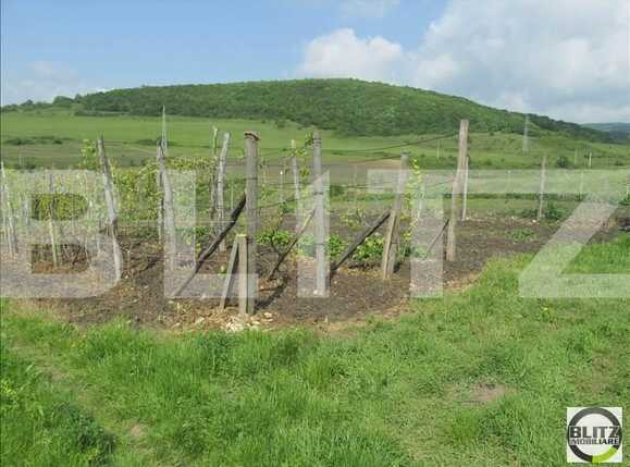 Teren de vânzare Baciu - 22680TV | BLITZ Cluj-Napoca | Poza3