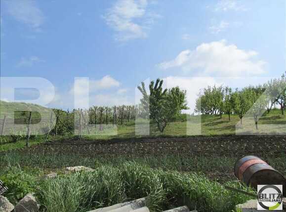 Teren de vânzare Baciu - 22680TV | BLITZ Cluj-Napoca | Poza5