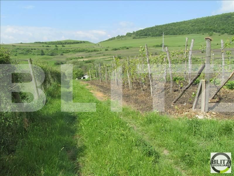 Teren de vânzare Baciu - 22680TV | BLITZ Cluj-Napoca | Poza2