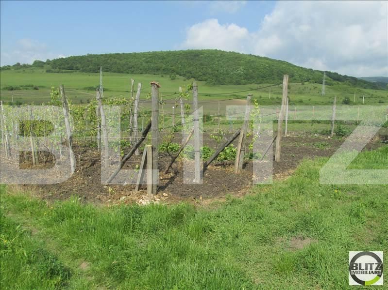 Teren de vânzare Baciu - 22680TV | BLITZ Cluj-Napoca | Poza3