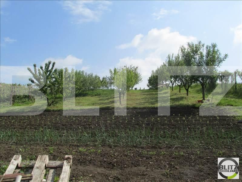 Teren de vânzare Baciu - 22680TV | BLITZ Cluj-Napoca | Poza4