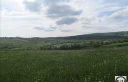 Teren de vanzare 4200 mp, front stradal 20 ml, zona linistita de case/vile