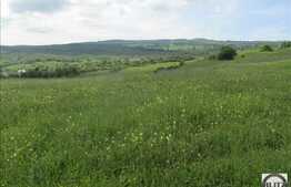 Teren de vanzare 4200 mp, front stradal 20 ml, zona linistita de case/vile