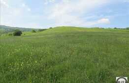 Teren de vanzare 4200 mp, front stradal 20 ml, zona linistita de case/vile