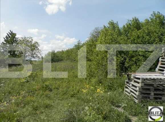 Teren de vânzare Europa - 22687TV | BLITZ Cluj-Napoca | Poza10