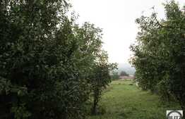 Vanzare teren 1000 mp, PUZ, Certificat urbanism pentru constructie duplex!