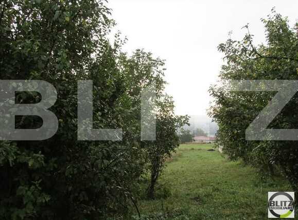 Teren de vânzare Dambul Rotund - 22690TV | BLITZ Cluj-Napoca | Poza4