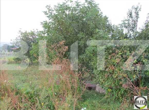 Teren de vânzare Dambul Rotund - 22690TV | BLITZ Cluj-Napoca | Poza5