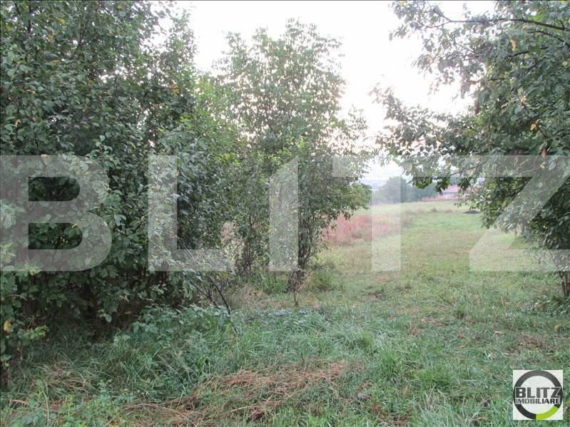 Teren de vânzare Dambul Rotund - 22690TV | BLITZ Cluj-Napoca | Poza2