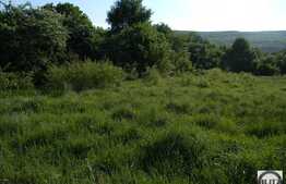 Teren 2 000 mp, front stradal 20 ml, utilitati in zona!