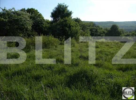 Teren de vânzare Europa - 22692TV | BLITZ Cluj-Napoca | Poza7