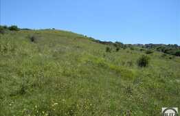 Vanzare teren, 732 mp, PUZ in lucru