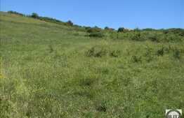 Vanzare teren, 732 mp, PUZ in lucru