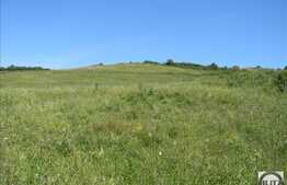 Vanzare teren, 732 mp, PUZ in lucru